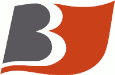 Biesterfeld Group logo